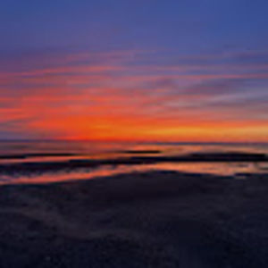 Meet your Posher, Judy